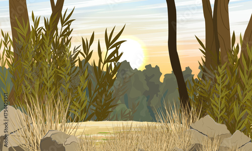 Sandy road in the forest. Realistic vector landscape.