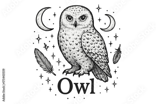 Snowy Owl Illustration. Hand-drawn snowy owl with moons, feathers, and sparkles, center word “Owl” in black and white isolated