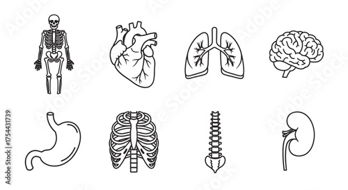 Black outline icons depicting human internal organs, including skeleton, heart, lungs, brain, stomach, ribs, spine, and kidney.