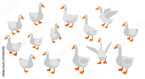 Cute cartoon farm geese collection on white background