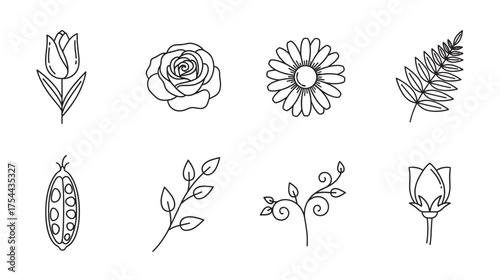 Eight black outline botanical icons featuring a tulip, rose, daisy, fern, pea pod, leafy branch, vine, and budding flower.