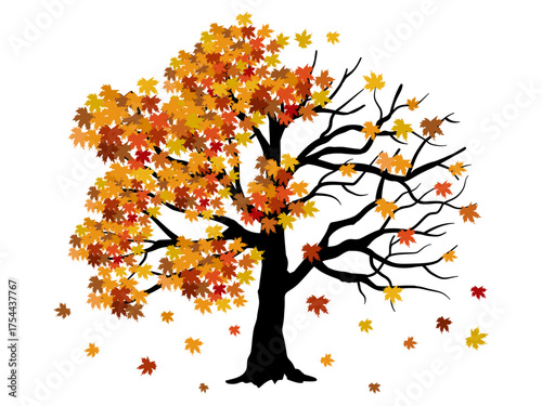 half autumn and half bare tree vector illustration showing seasonal change with colorful leaves and falling foliage, isolated on a white background, concept of transition.