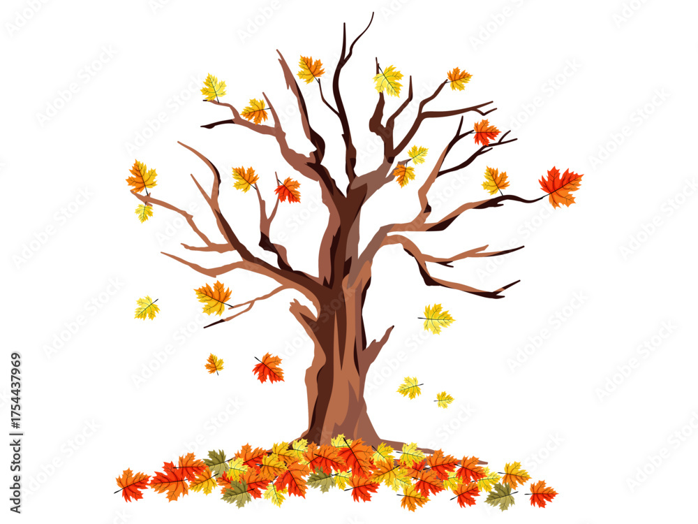 Fototapeta premium autumn tree vector illustration with colorful falling maple leaves and a pile of foliage on the ground, isolated on a white background, perfect for seasonal design elements.