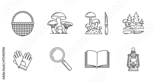 Black and white outline icons of a basket, mushrooms, knife, forest scene, gloves, magnifying glass, open book, and lantern arranged in two rows.