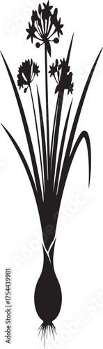 Black silhouette of ornamental onion flowers and grass blades on a white background Allium floral