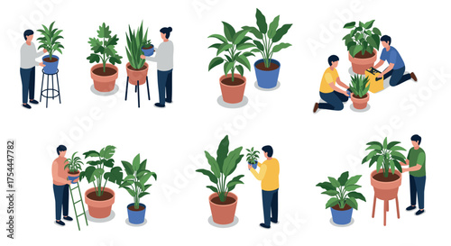 Isometric indoor plant care: people nurturing home potted plants in various activities