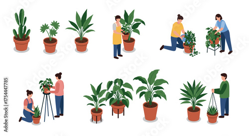 Indoor plant care isometric illustration: people tending to diverse potted houseplants