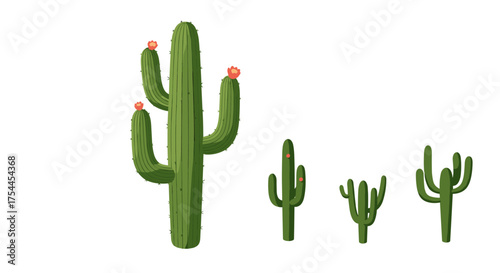Vibrant cactus collection with flowers on white background