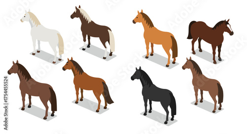 Isometric horse collection: diverse breeds in flat design for creative use