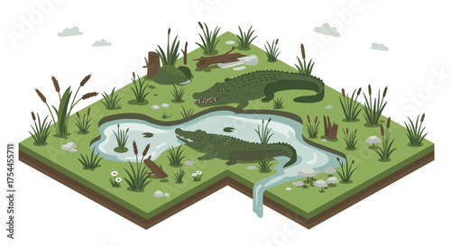 Isometric crocodile habitat with pond and vegetation in freshwater wetland scene