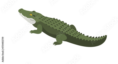 Flat style crocodile design on white background