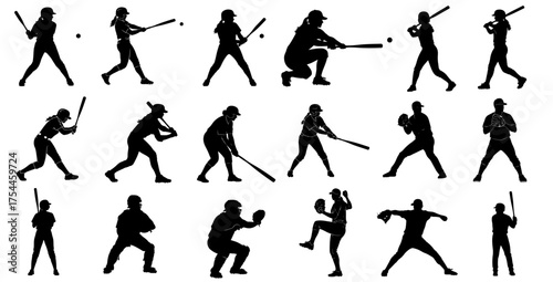 Elegant Swan Silhouette bird water bird