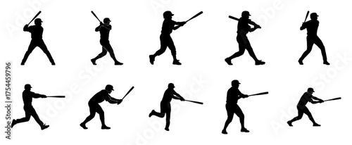 Elegant Swan Silhouette bird water bird