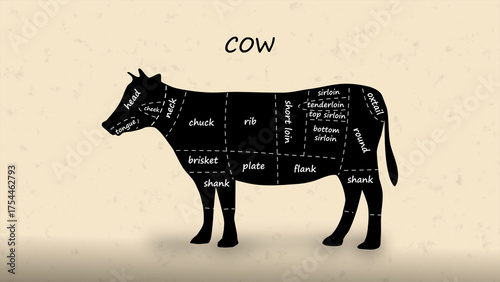 Fotografía Detailed butcher diagram of cow showing all beef cuts and sections