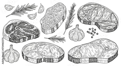 A collection of hand-drawn raw meat cuts like t-bone and sirloin steak with fresh garlic, pepper, and rosemary for culinary preparation