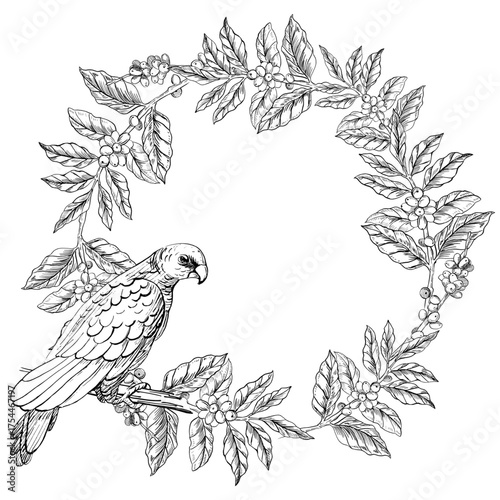 A parrot on a wreath of coffee tree branches with ripe berries. A realistic coffee-themed vector illustration for product design, apparel printing, posters, and interior design.