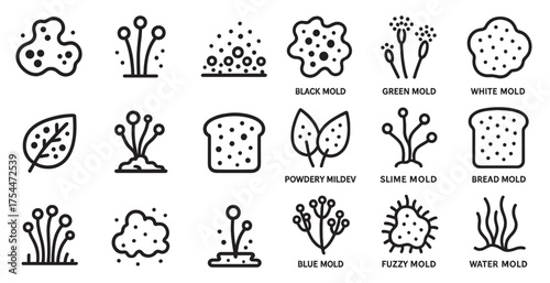 Mold and fungi outline icons set – line, silhouette, spores and biological symbols
