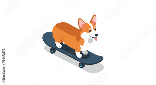 Playful corgi on skateboard cartoon style