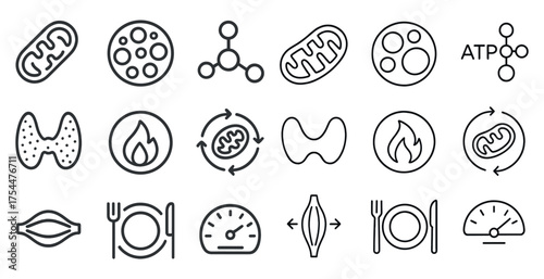 Biology line icons set – scientific symbols, diagrams and science concepts