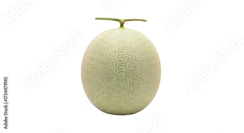 Isolated cantaloupe with stem and textured skin ready for commercial use, tasty and fresh