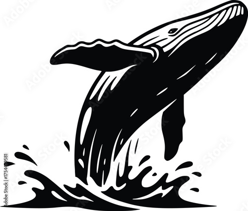 Monochrome vector illustration of a jumping whale with a splash, isolated on white.