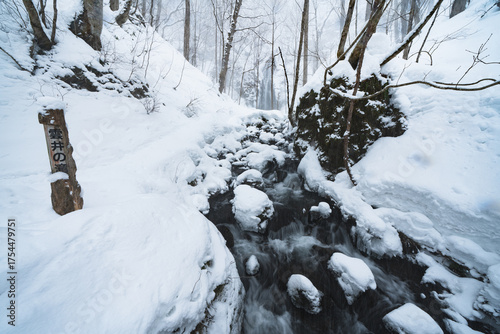 Winter mountain stream leading to a waterfall through snow-covered rocks and trees, expressing the serene and silent atmosphere of a frozen forest.