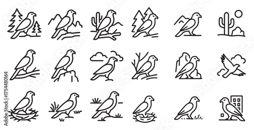 Bird watching icons set – outline, linear, avian and wildlife symbols