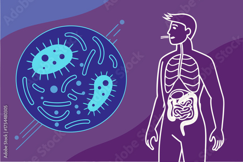 Flat vector infographic of gut microbiome, showing good and bad enteric bacteria, viruses, large intestine cartoon illustration.