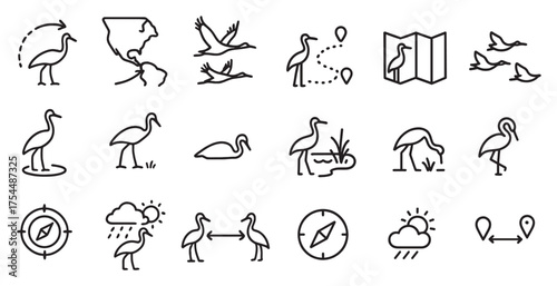 Bird migration line icons set – silhouette, outline, avian movement symbols.
