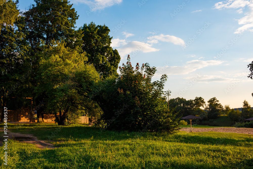 Fototapeta premium Lush greenery and sun-drenched turf catch golden light. Peaceful open-air ambiance under a wide blue yonder