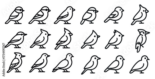Bird watching outline icons set – line, silhouette, avian and wildlife symbols