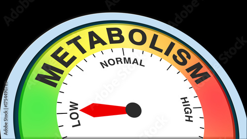 Metabolism low, text level concept illustration with barometer or tachometer meter on black background. Suitable for slow body process, low energy, poor digestion, and weak calorie burning visuals