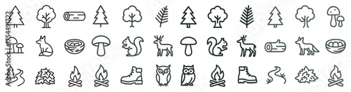Nature and wildlife outline icons set – line, silhouette, forest and animal symbols.