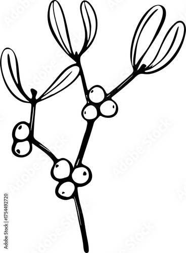 Hand-drawn mistletoe branch with berries. Simple festive botanical illustration. Perfect for Christmas cards, wrapping, fabric, and winter decor.