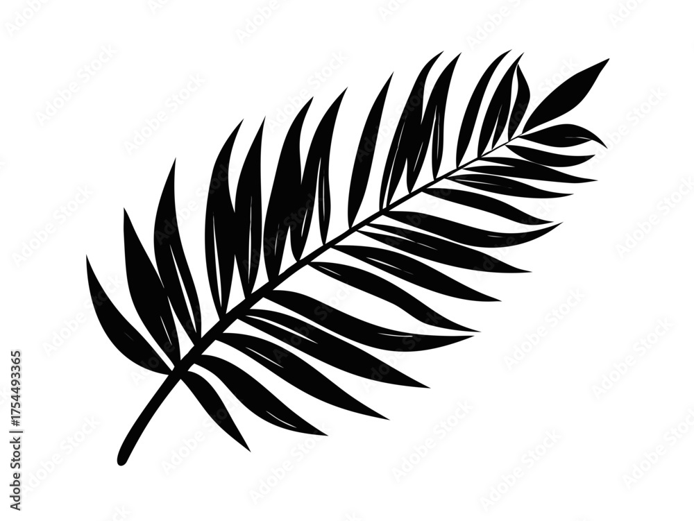 Fototapeta premium Shadow tropics palm leaves composition on white backgrounds