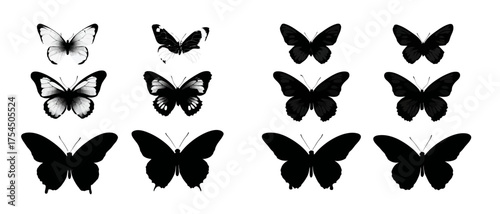 Nine monochrome butterfly illustrations. Some are grayscale while others are silhouettes on a white background