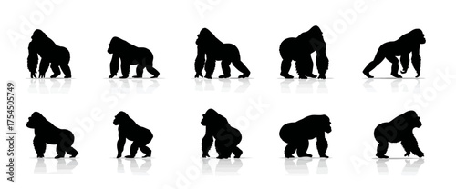Silhouette depictions of ten gorillas on a white background, each with a reflection
