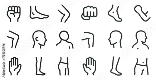 Human anatomy line icons set - outline, linear, body part symbols