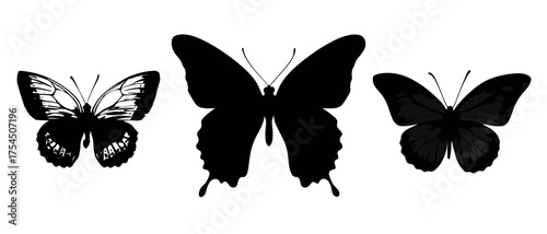 A monochrome image displays three butterfly silhouettes of varying sizes and wing designs against a white background