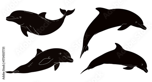 Four stylized dolphins in black silhouette against a white background, with varied postures