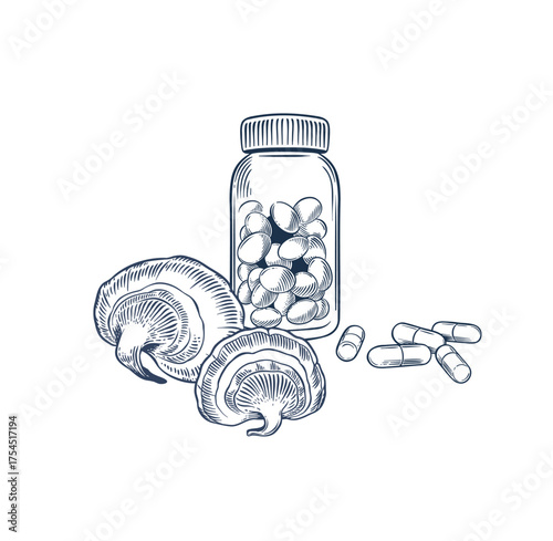 Reishi mushroom in capsules and dragees. Hand drawn vector illustration  in engraving style
