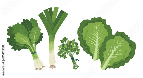 A vibrant assortment of fresh leafy green vegetables including lettuce leeks and herbs.