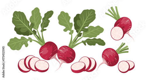 Fresh red radishes with green leaves and sliced pieces.