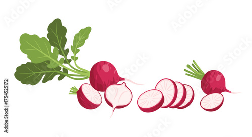 Fresh red radishes with green leaves and slices on a white background.