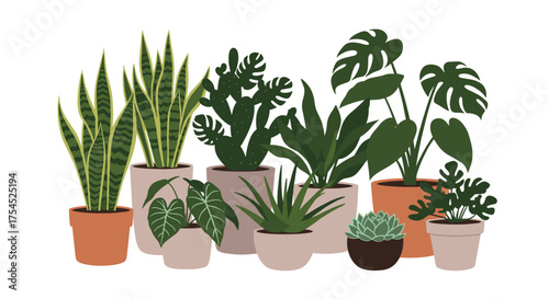 A curated collection of vibrant potted houseplants arranged artfully.