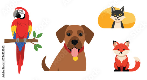 A colorful parrot a happy dog and cute animals.