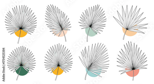 Delicate dandelion seed heads with abstract colorful background elements.