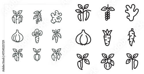 Vegetable and herb outline icons set – linear, garden and culinary elements