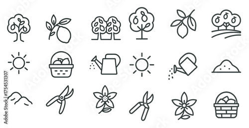 Gardening and nature outline icons set – line, plant, horticulture symbols