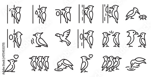 Bird watching linear icons set – outline, avian observation, wildlife symbols